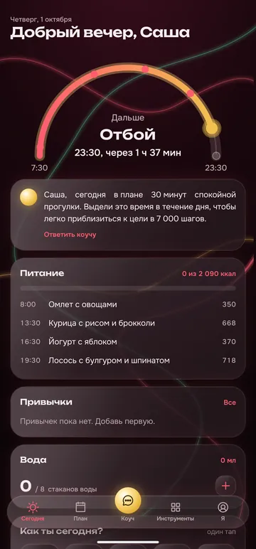 Экран «Сегодня»: дуга дня с солнцем в точке «сейчас», карточка коуча и список приёмов пищи